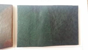 エルヴァケーロ　グリーン